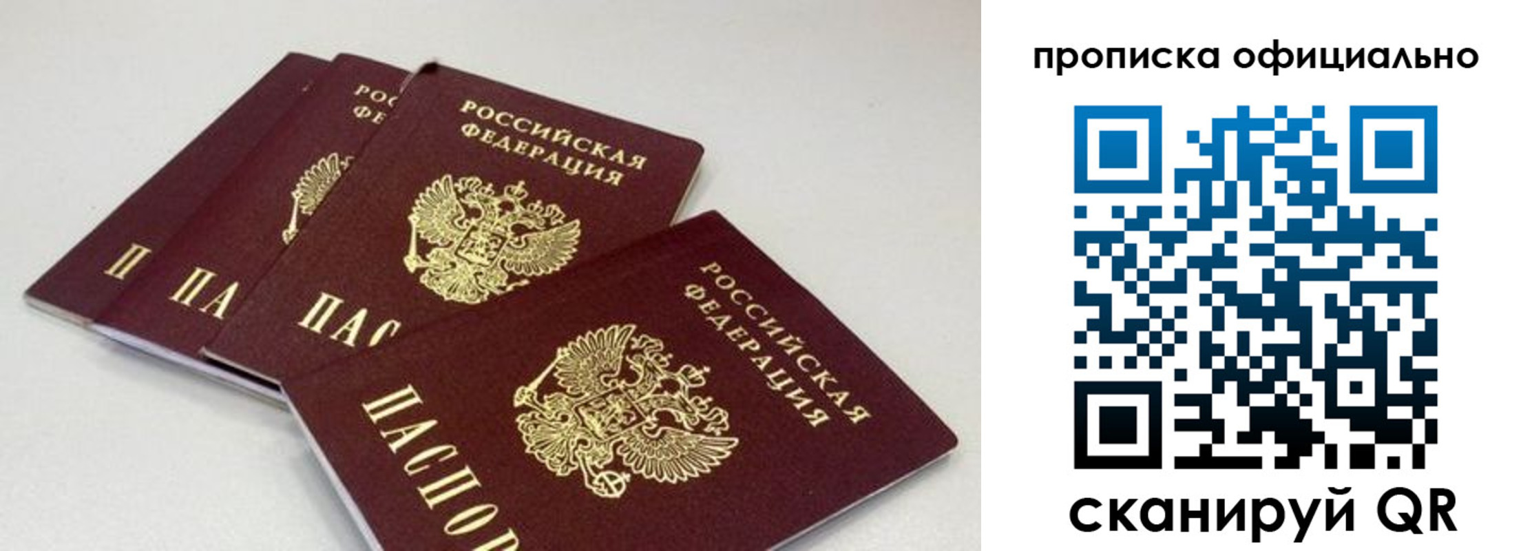 временная регистрация надежно в Светогорске